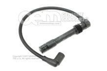 Zapaľovacie vedenie