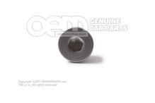 Tesniaca zátka M22X1,5 (1)