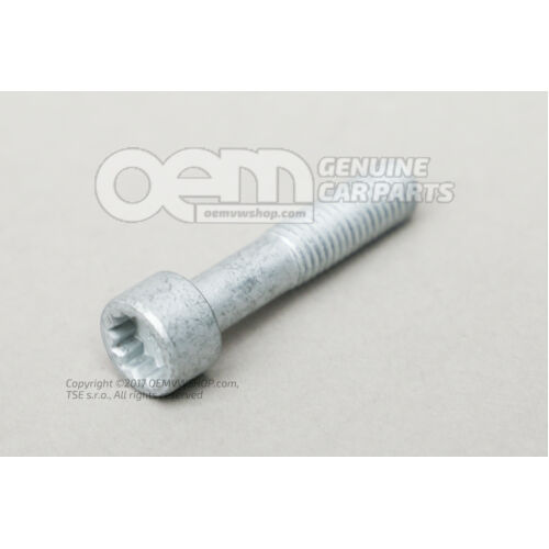 Skrutka s vnútornou hlavou s vnútornou viacbodovou hlavou M10X48X26