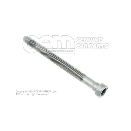 Skrutka so šošovkovitou hlavou