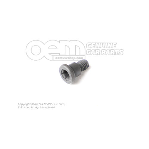 Vodiaca skrutka M5X6,7X11