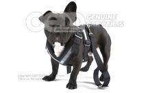 Ochranný pás pre psa