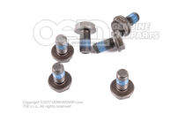 Repair kit for dual mass flywheel Audi VW Skoda Seat diesel engines (14)