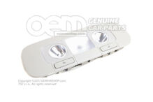 Svetlá perleťovo šedá