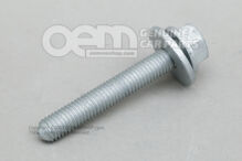 Skrutka s šesťhrannou hlavou s krytom (kombi) M10X65 (1)