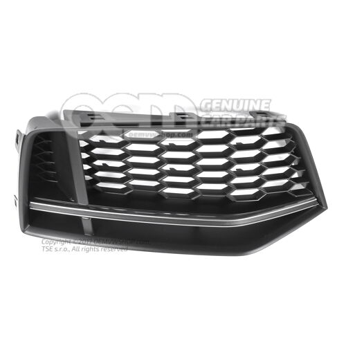 Chrómovaná vodiaca mriežka Audi TT / TTS Coupe / Roadster 8S