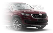 Aerosólový sprej (1)