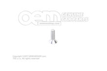 Skrutka so zápustnou hlavou (1)