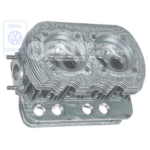 Hlava valca chrobák