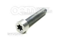 Skrutka s valcovou hlavou M5X25 (1)