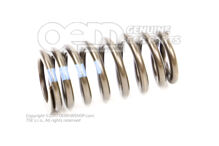 Ventilová pružina (1)