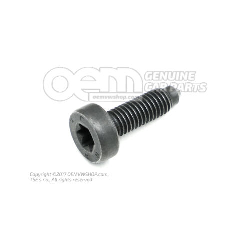 Skrutka s vnútornou hlavou Torx M8X26