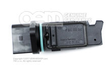 Merač hmotnosti vzduchu (1)