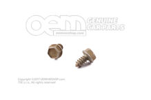 Skrutka so šesťhrannou hlavou do panelu 6,8X12,5 (1)