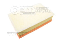 Vložka vzduchového filtra (1)