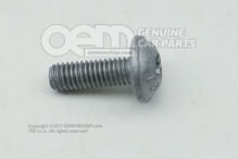 Skrutka s vnútorným šesťhranom oválna M6X18 (4)