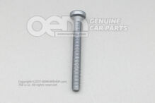 Skrutka s vnútorným šesťhranom oválna M6X55 (3)