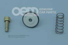 Regulátor chladiacej kvapaliny (1)