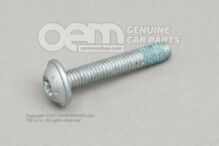 Skrutka s vnútorným šesťhranom oválna M6X35 (2)