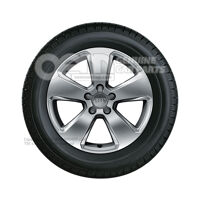 Hliníkový ráfik so zimnou pneumatikou diamantového striebra Hliníkový ráfik so zimnou pneumatikou diamantového striebra