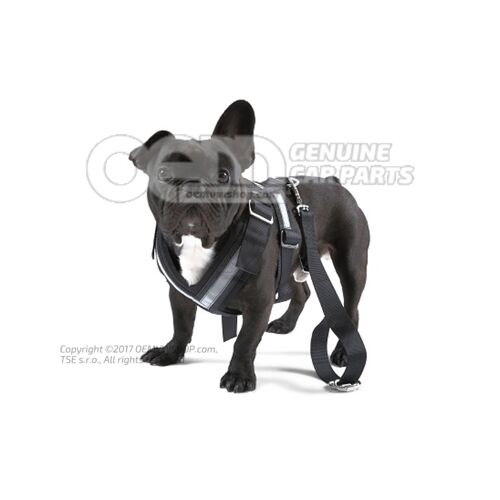 Ochranný pás pre psa