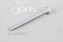 Fillister hd. skrutka M6X70 (1)