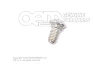 Skrutka s plochou kruh. hlavou (1)