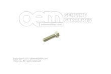 Šesťhranná skrutka M5X20 (1)