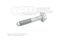 Skrutka so šesťhrannou golierom M12X1,5X65 (5)