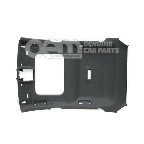 5FA867501K IK9 Moulded headliner Soul