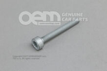 Skrutka s vnútornou hlavou s vnútornou viacbodovou hlavou M8X65