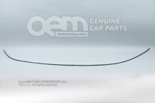 Lišta - chróm strechy (1)