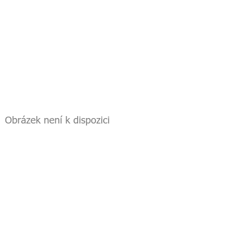 POČET MESIACA: 125